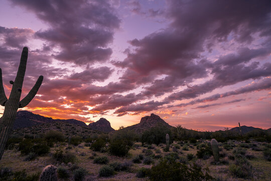 San Tan Valley, AZ
